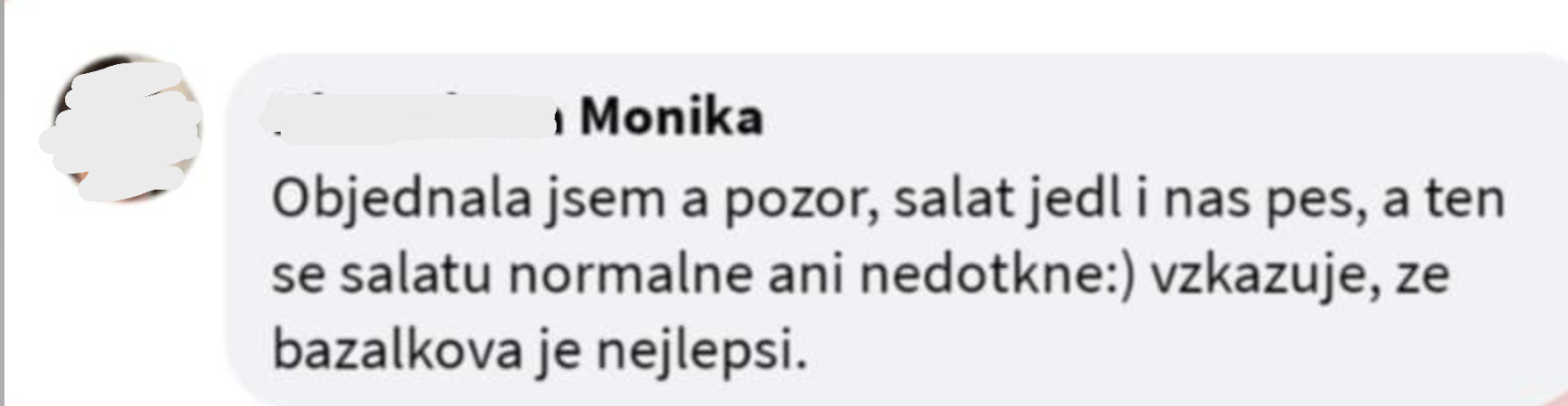 Snímek obrazovky 2025-04-02 v 13.57.26